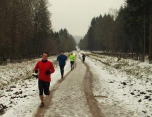 Unofficial Forest half