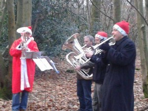 parkrun band